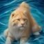 用户内容猎人Leo头像，热衷发现优质内容的资深用户